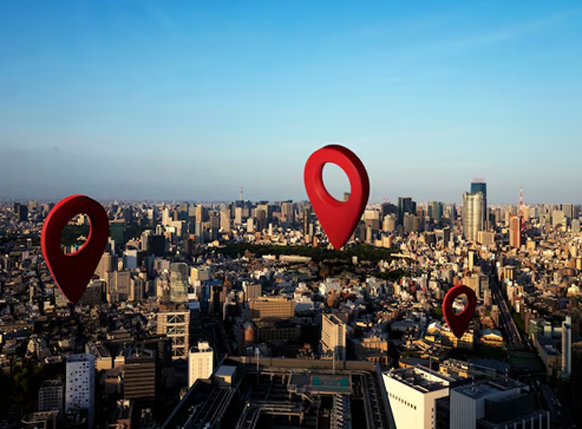 premium Basmati Rice